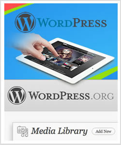 Site CMS WordPress